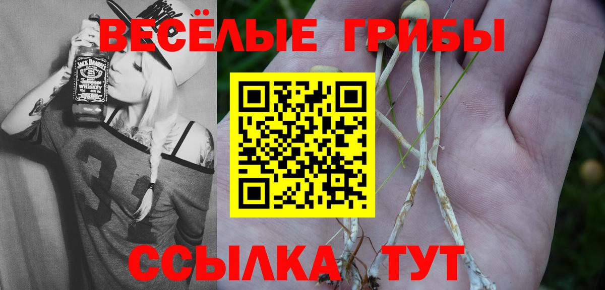 Галлюциногенные грибы прущие грибы Мичуринск